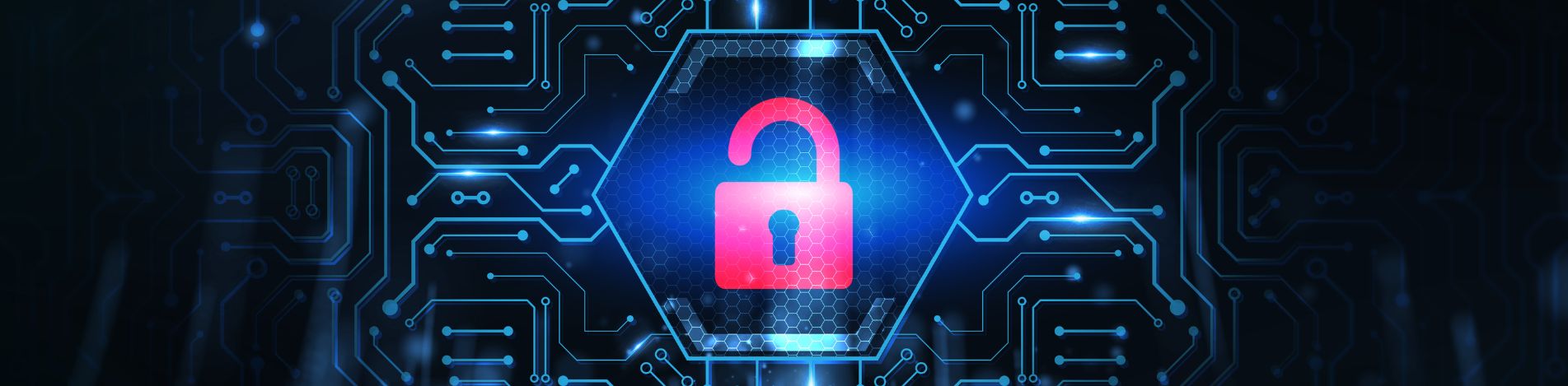 Política de Privacidade | Proteção de Dados - Higiworks