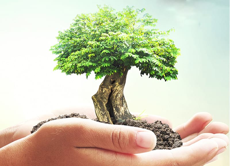 Serviços Higiworks - Gestão Ambiental e de Resíduos