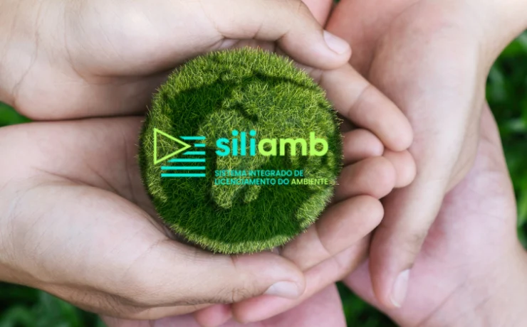 SILiAmb